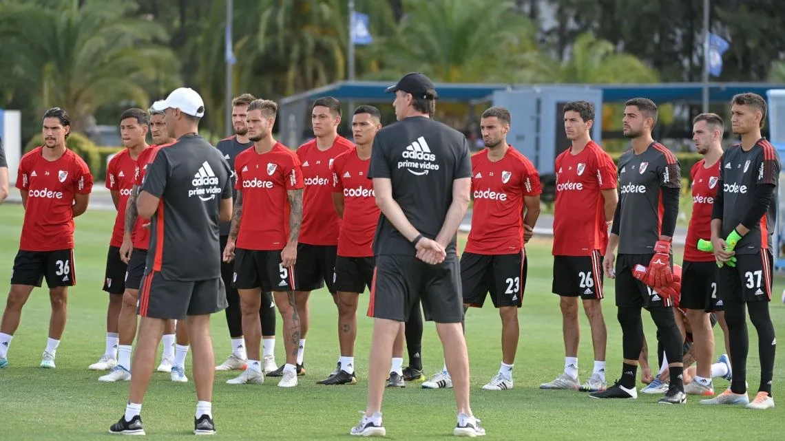 Zuculini plantel